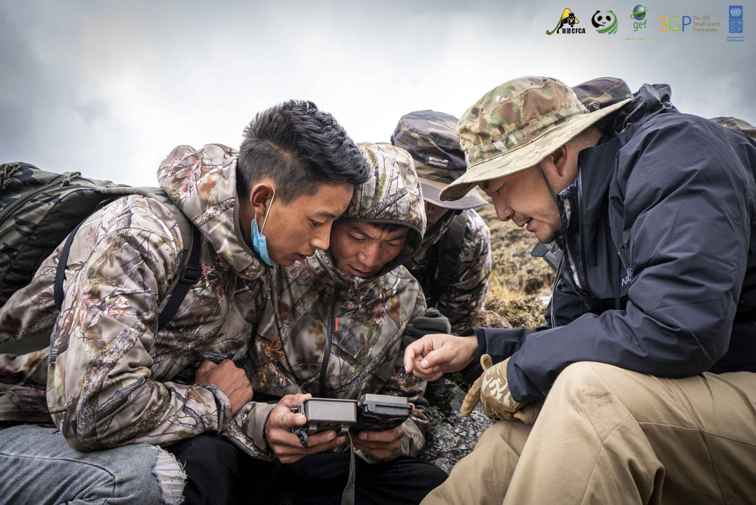 开云体育-云贵雪豹队鏖战岭南暴熊队，游泳大师赛守住胜果，替补奇兵立功。二次进攻频频奏效(雪豹拜城雪豹畏战雪豹解散)