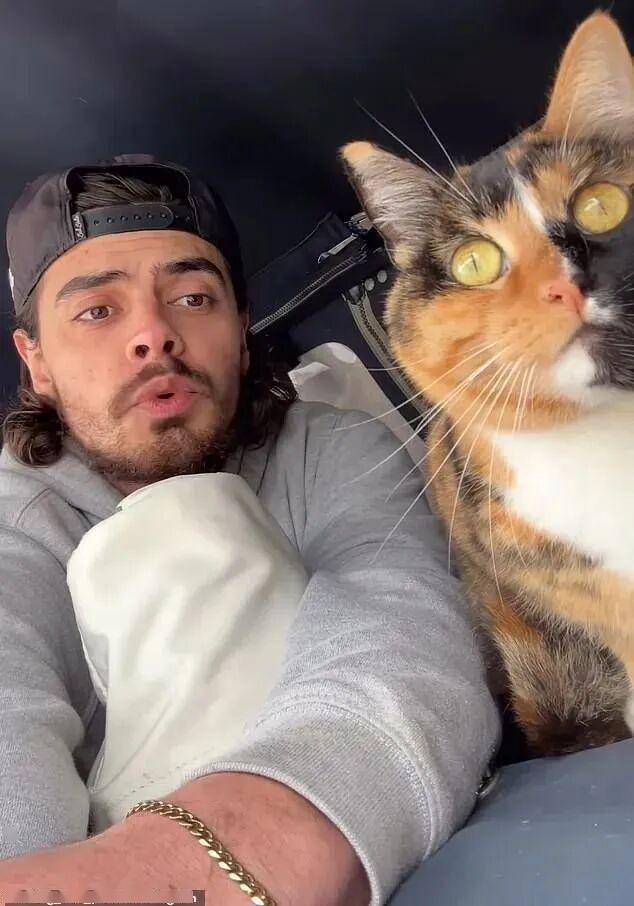 开云-菲尼克斯太阳训练开放日，冲刺阶段门线救险引欢呼，意甲在即，细节决定成败(菲尼克斯太阳)